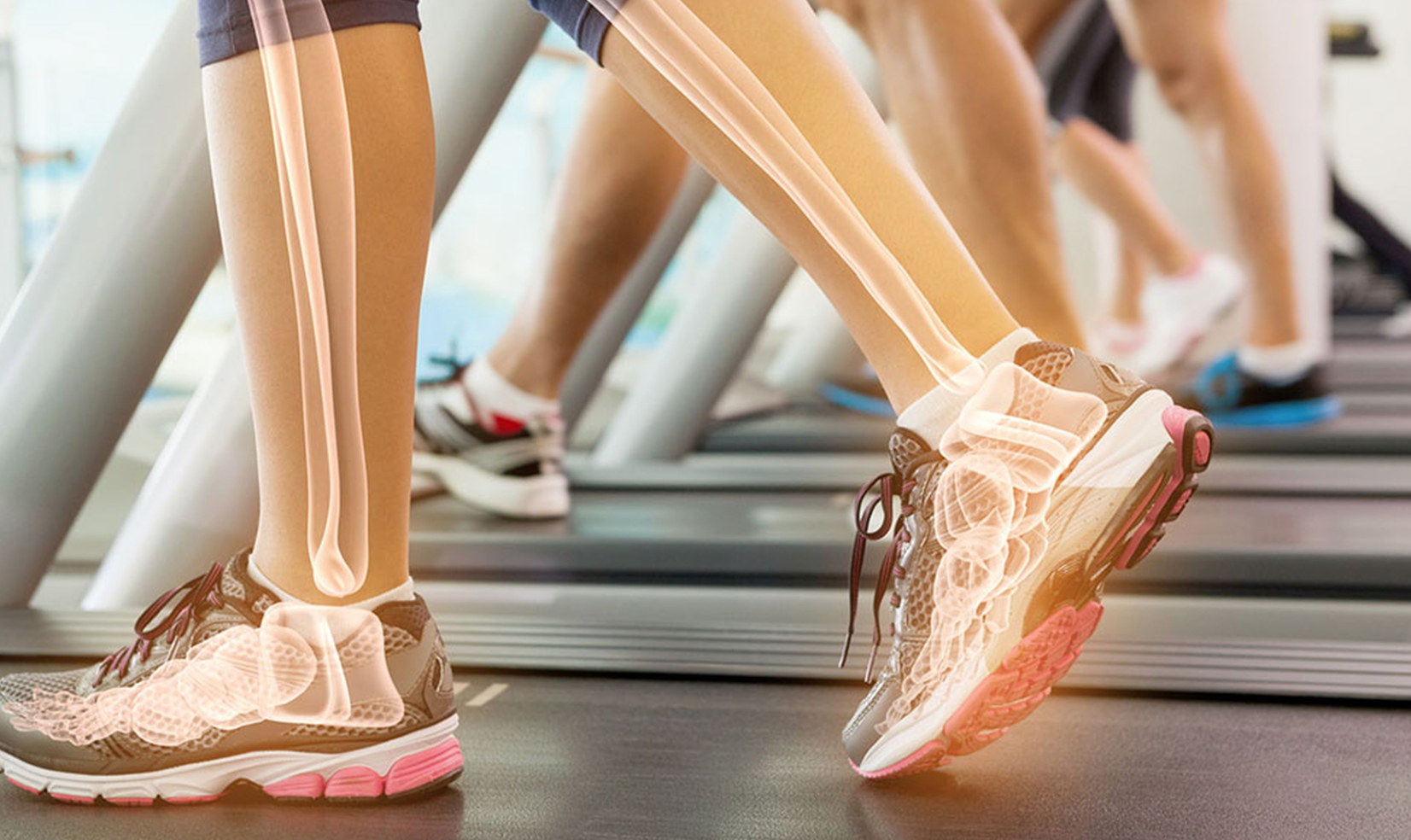Cómo fortalecer los huesos con el ejercicio